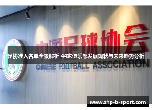 足协准入名单全景解析 44家俱乐部发展现状与未来趋势分析